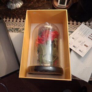 Dream Of Flowers Light Up Red Rose Table Decoration 6 Roses-GREAT GIFT NEW!!